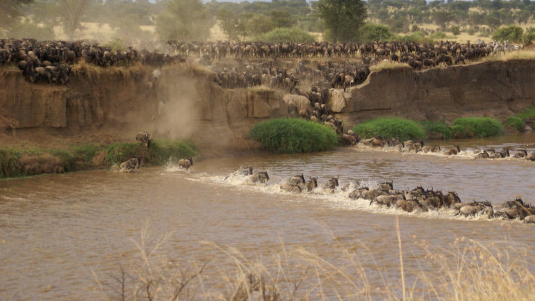 4 DAYS SAFARI - TARANGIRE, NGORONGORO & SERENGETI