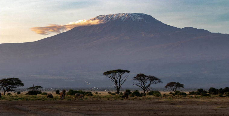 MT KILIMANJARO DAY TRIP